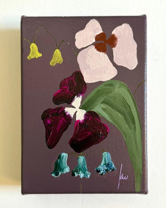 Mini Aubergine  |  5x7